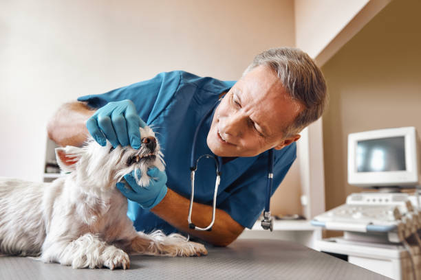 Best Emergency Root Canal Treatment in Rochelle, GA